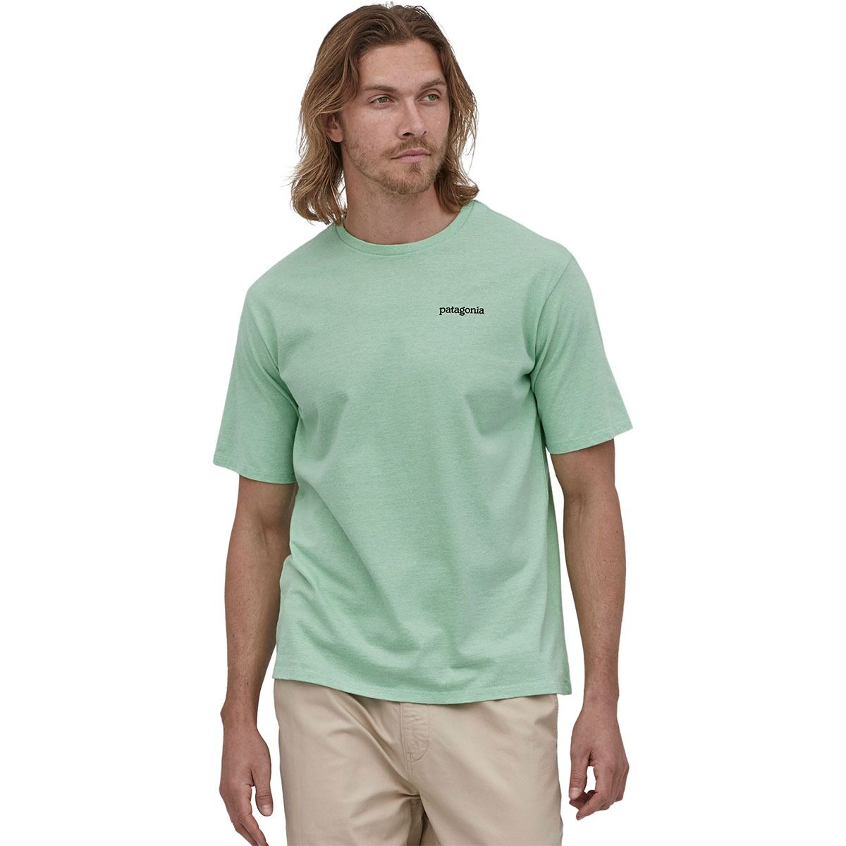 Patagonia Men's Fitz Roy Bonefish Cotton T-Shirt