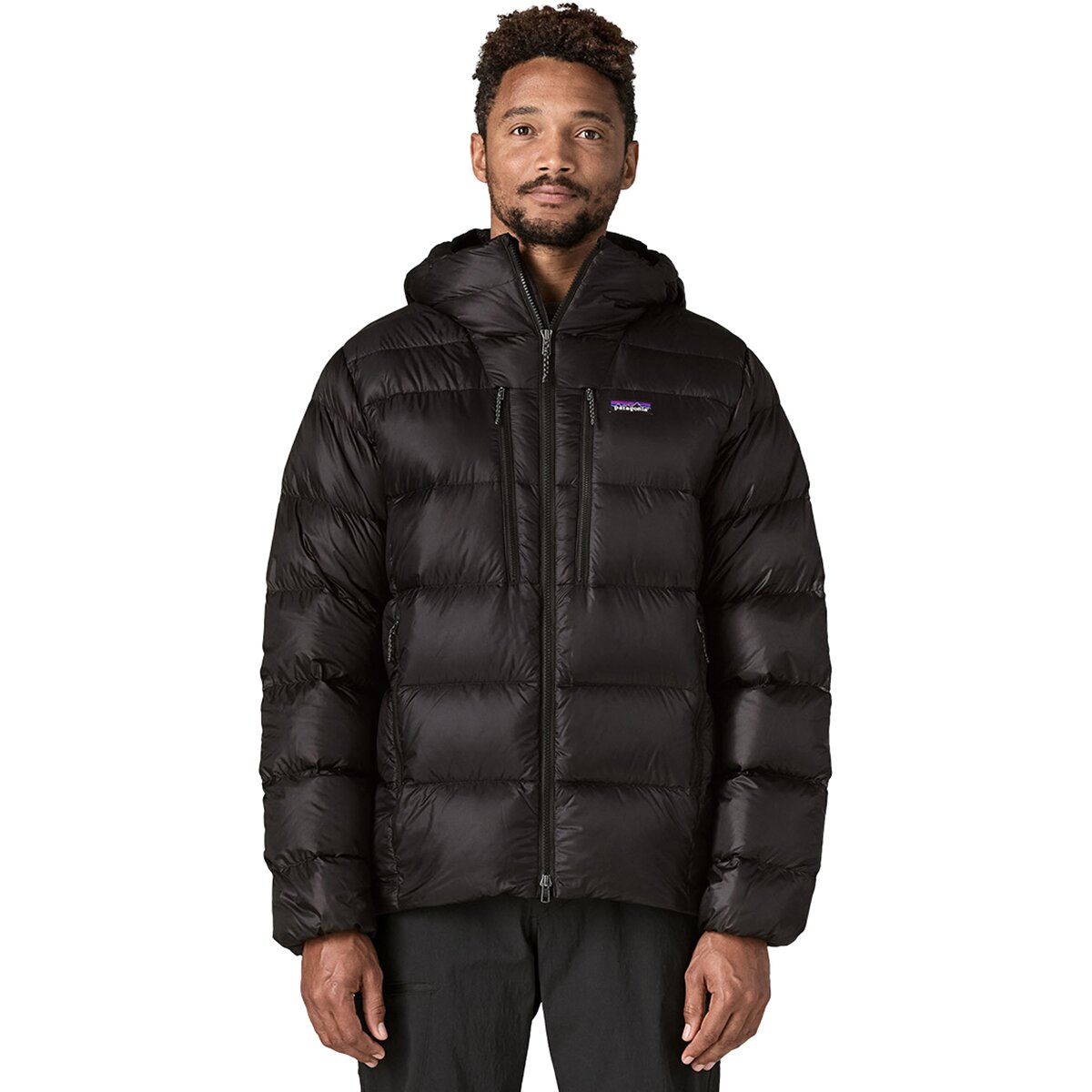 Image of Patagonia Fitz Roy Down Hooded Jacket - Men's Black 2, M