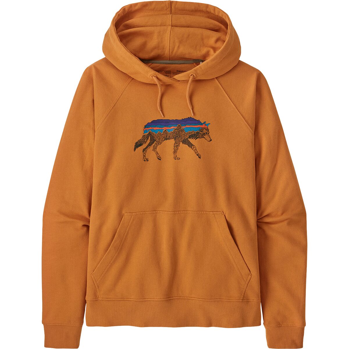 Patagonia Back For Good Organic Hoodie - Women's - Clothing