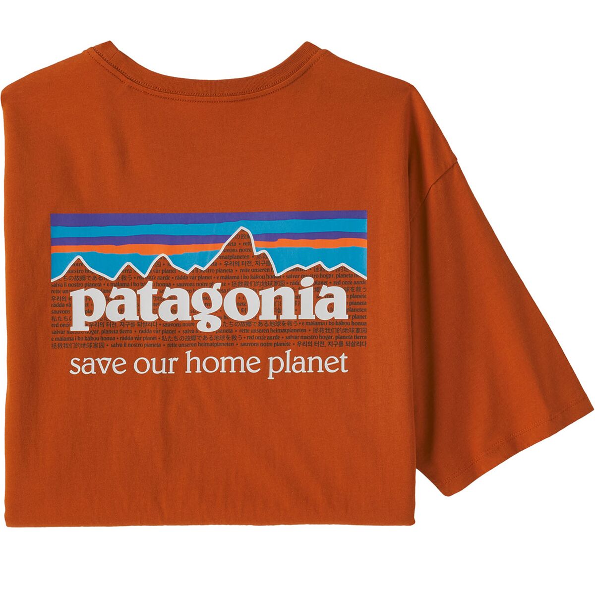 Patagonia P-6 Mission Organic T-Shirt - Men's
