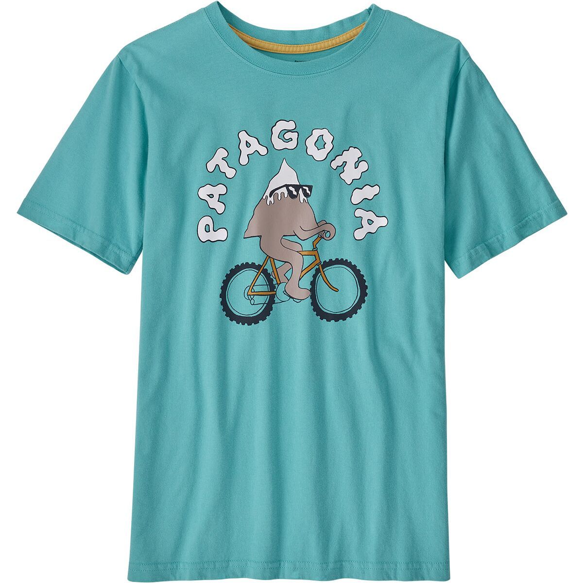 Patagonia Graphic Organic T-Shirt - Kids' Summit Cycler/Iggy Blue, XXL