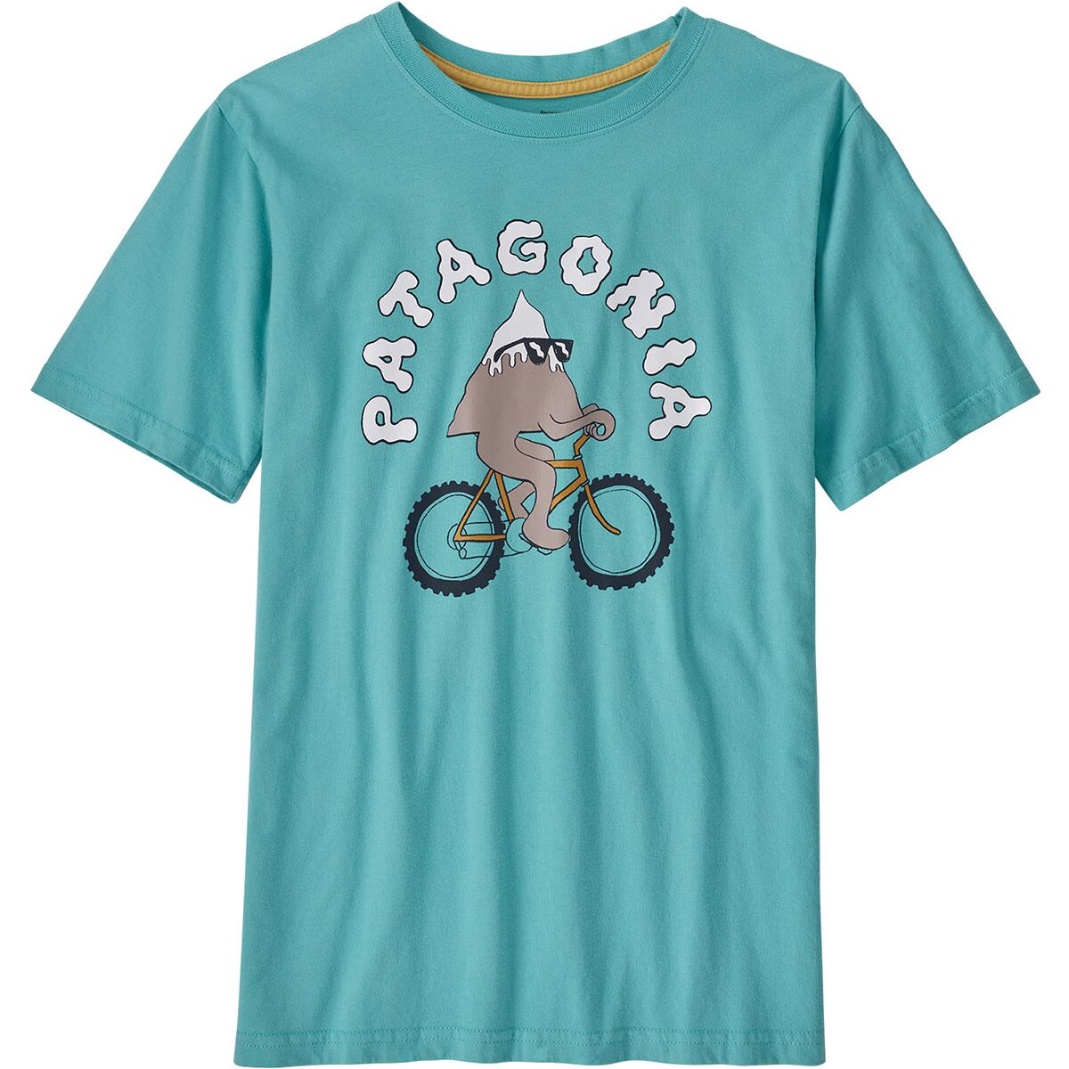 Patagonia Graphic Organic T-Shirt - Boys'