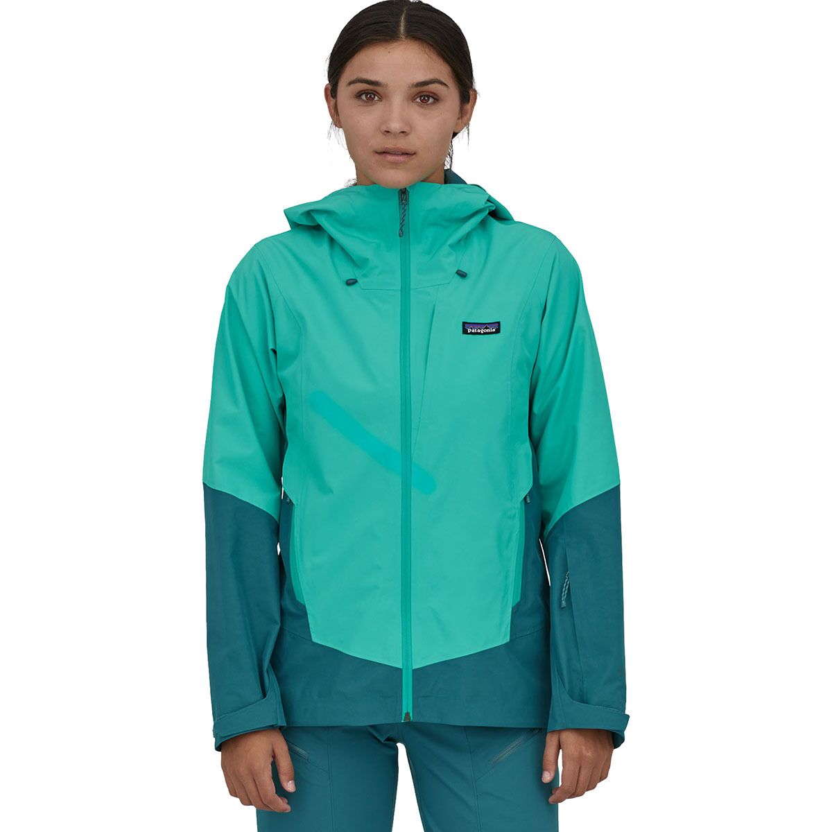 Patagonia Women's Ski Jackets 