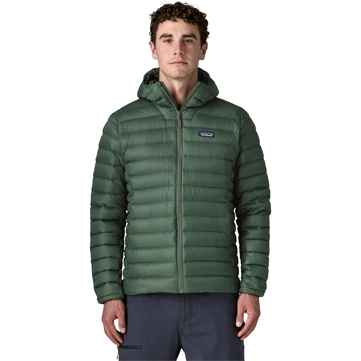 Image of Patagonia Down Sweater Hooded Jacket - Men's Treeline Green, M