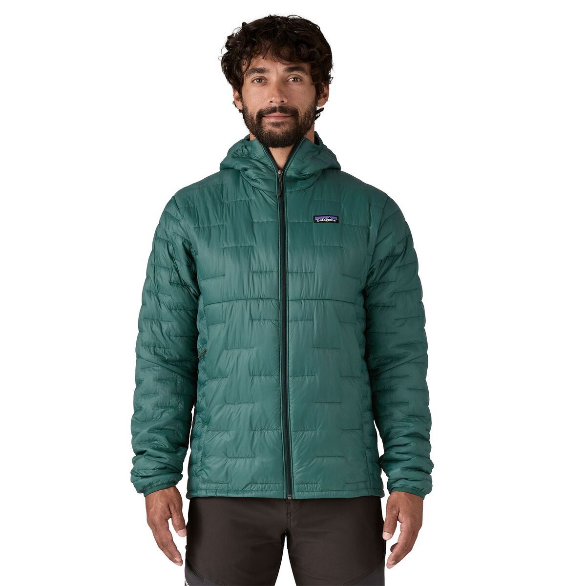 Image of Patagonia Micro Puff Hooded Insulated Jacket - Men's Cascade Green, L