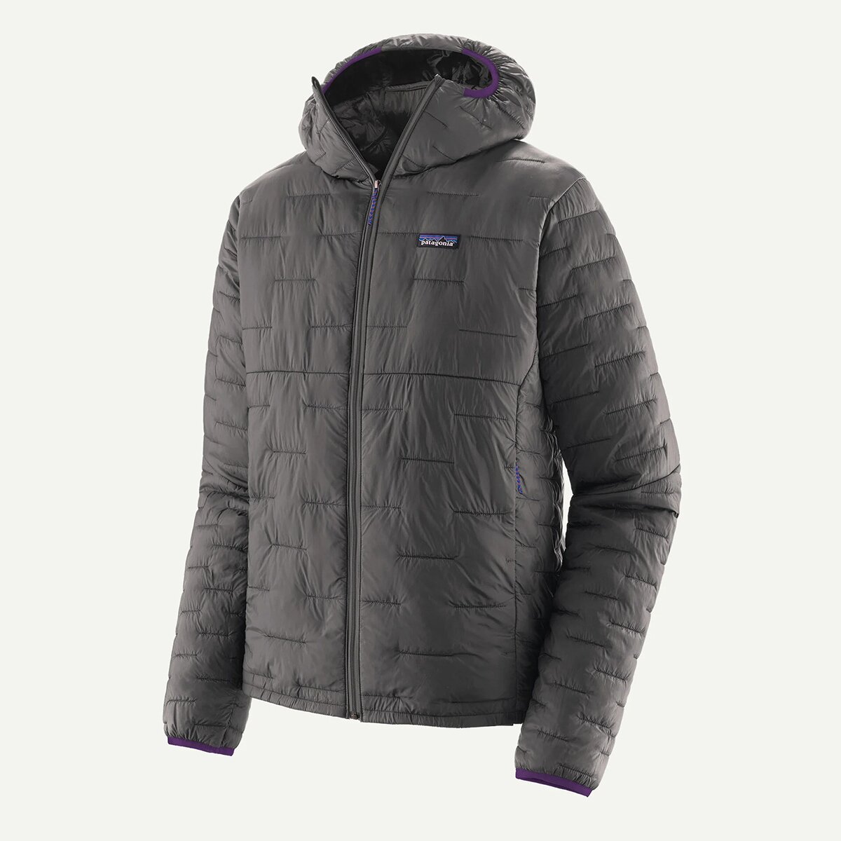に*し様 極美品 希少 Patagonia mars Micro Puff Pa FORGRE_D9.jpg
