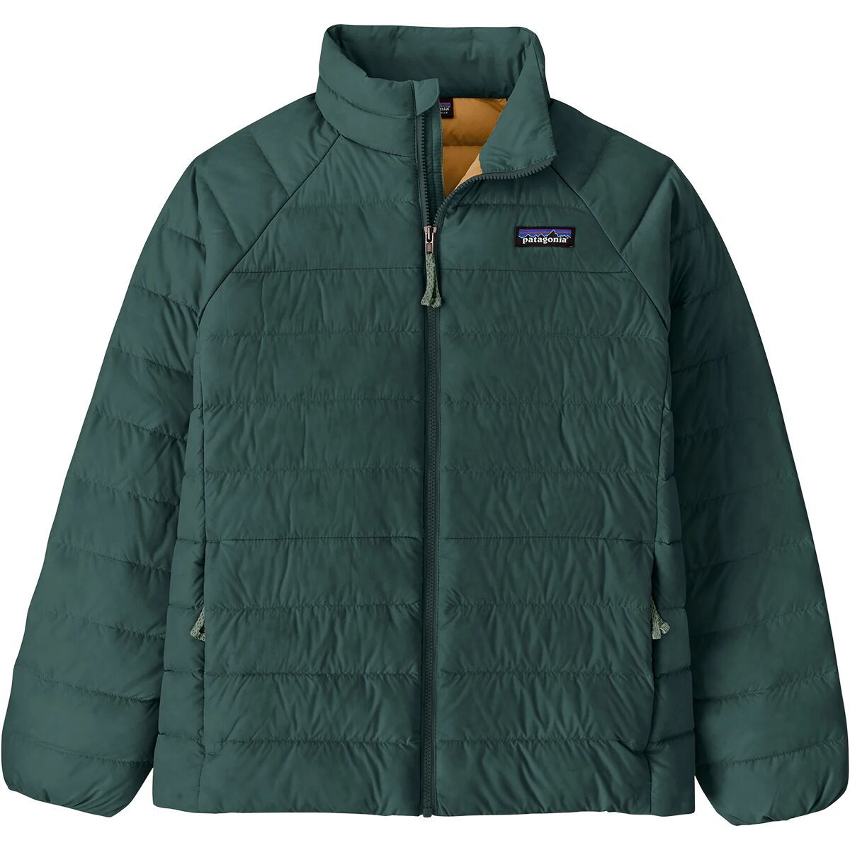 Image of Patagonia Down Sweater Jacket - Kids' Cascade Green, XL