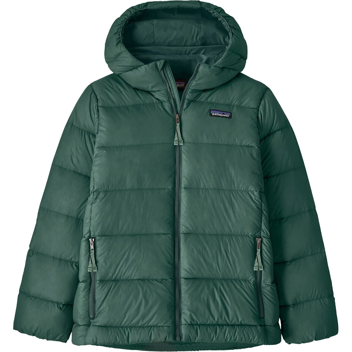Image of Patagonia Hi-Loft Down Sweater Hoodie - Kids' Cascade Green, XL