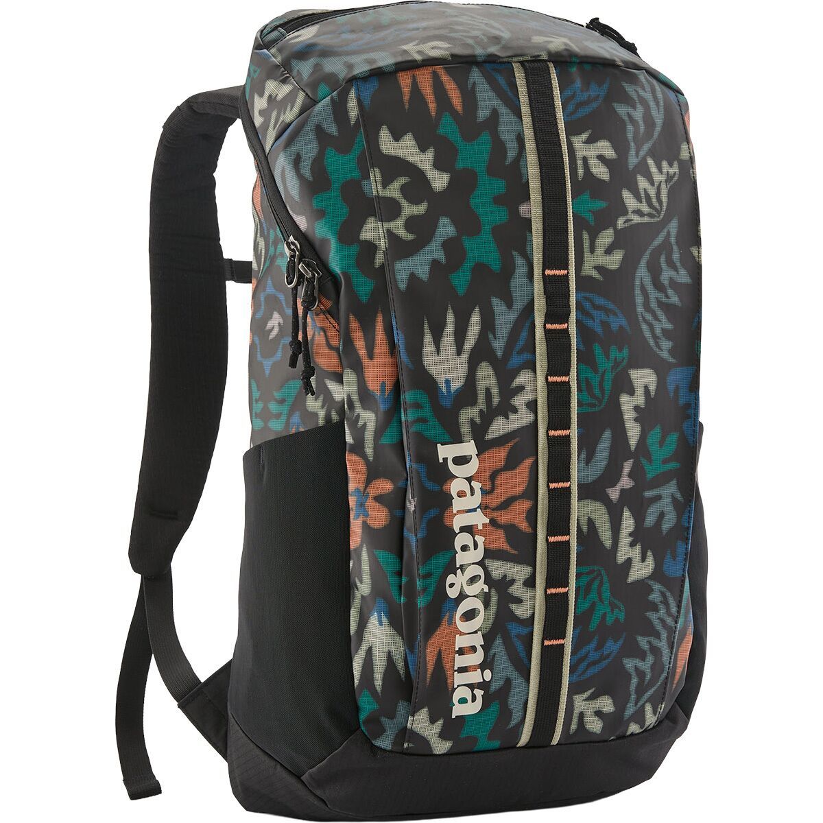Image of Patagonia Black Hole 25L Backpack Kaleido: Black, One Size