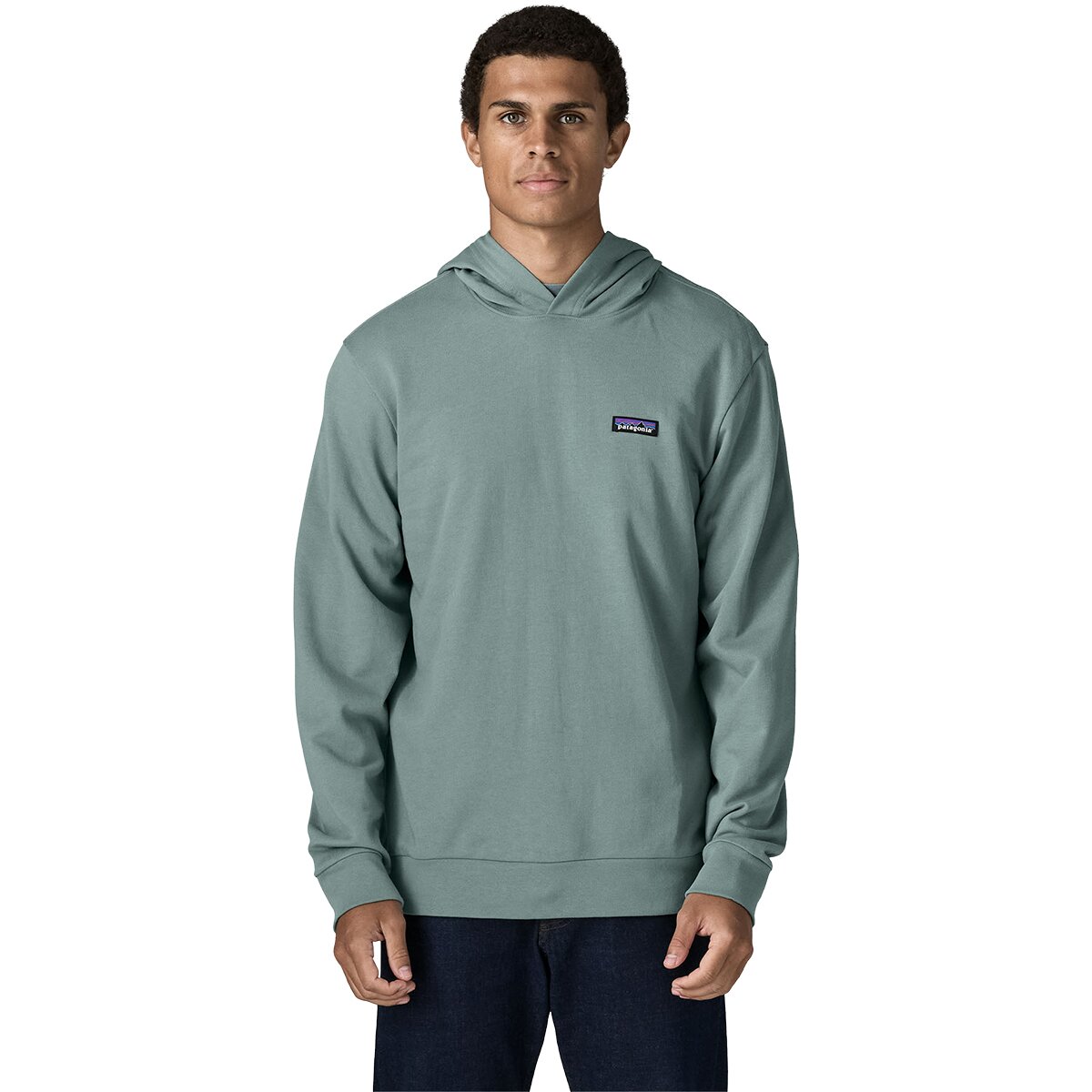 Image of Patagonia Daily Hooded Sweatshirt Blue Sage, XXL