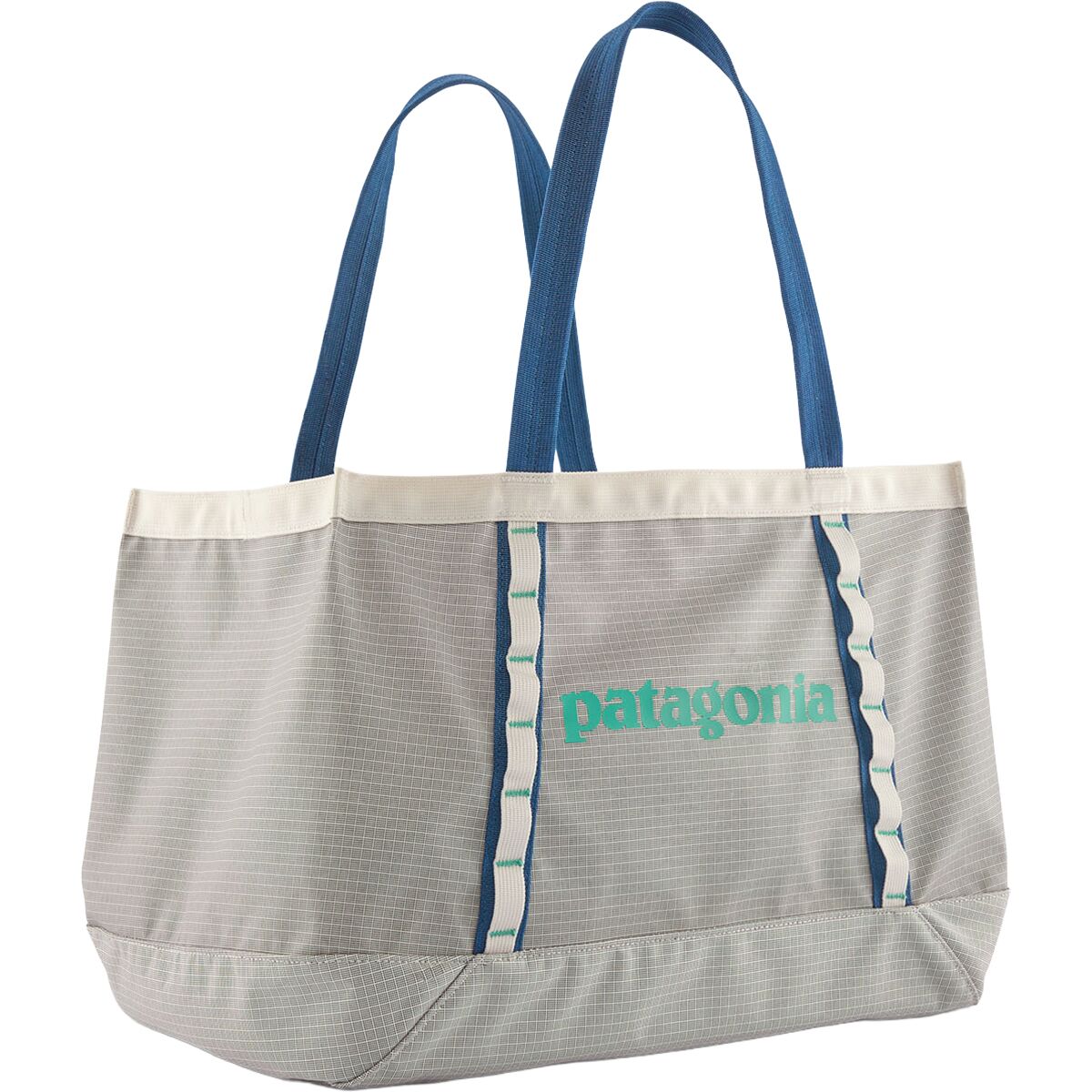 Image of Patagonia Black Hole 25L Tote Birch White, One Size