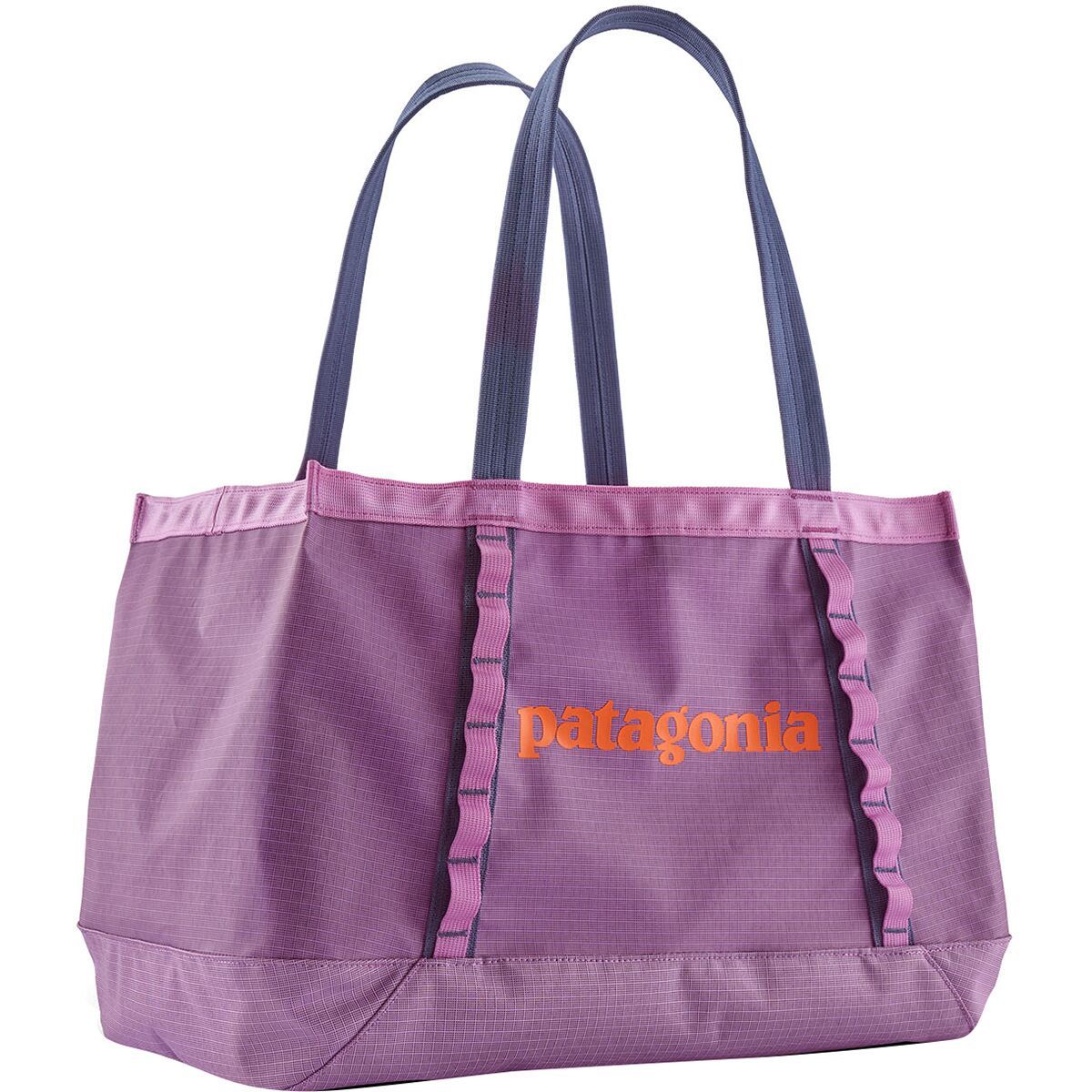 Patagonia Black Hole 25L Tote Brisk Purple