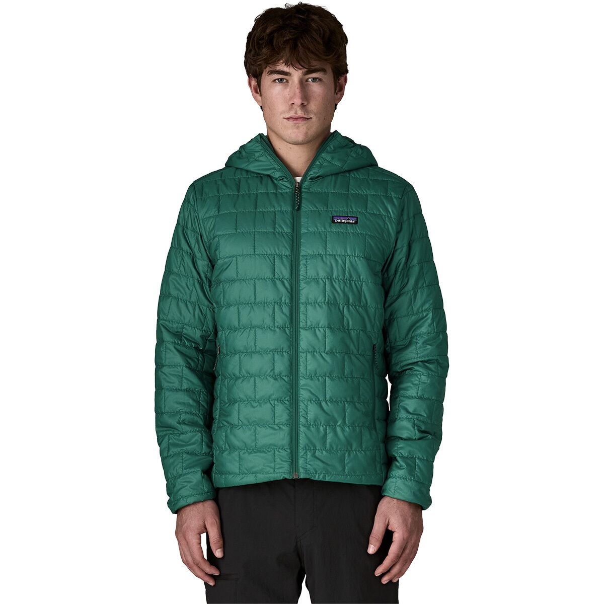 Image of Patagonia Nano Puff Insulated Hoodie - Men's Gem Green, L