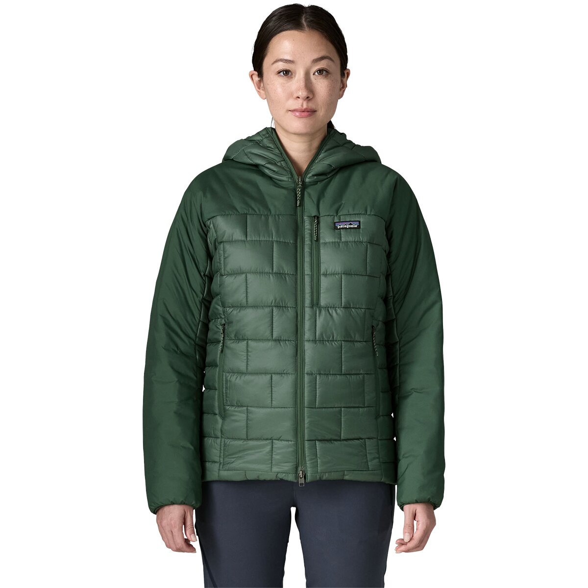 Image of Patagonia Hi-Loft Nano Puff Hoodie - Women's Canopy Green, M