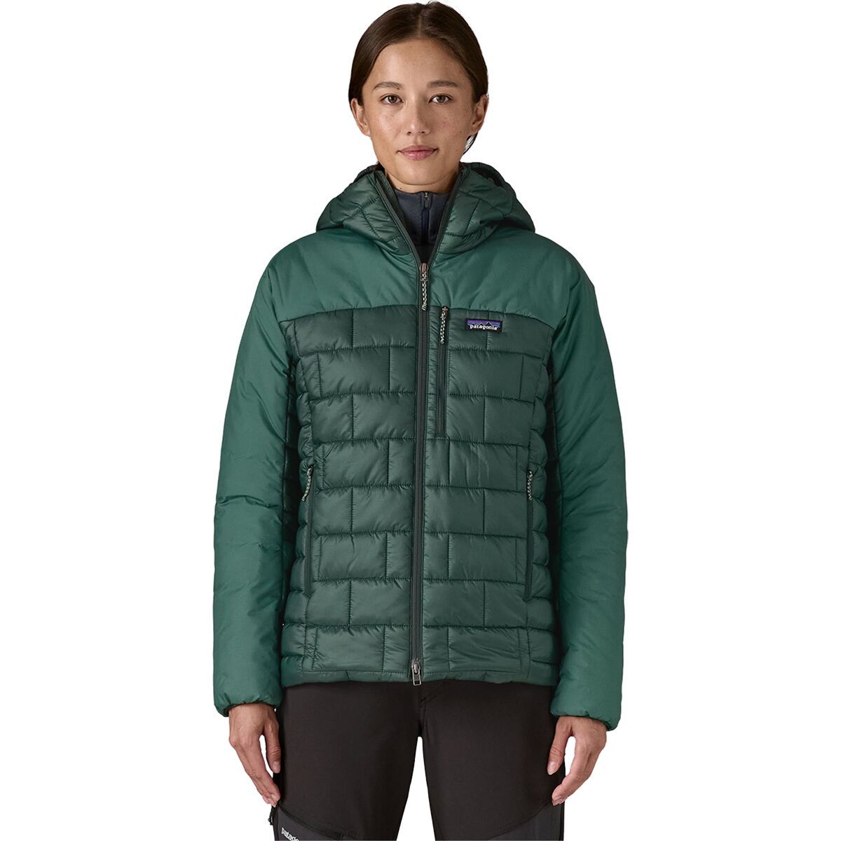Image of Patagonia Hi-Loft Nano Puff Hoodie - Women's Cascade Green, S