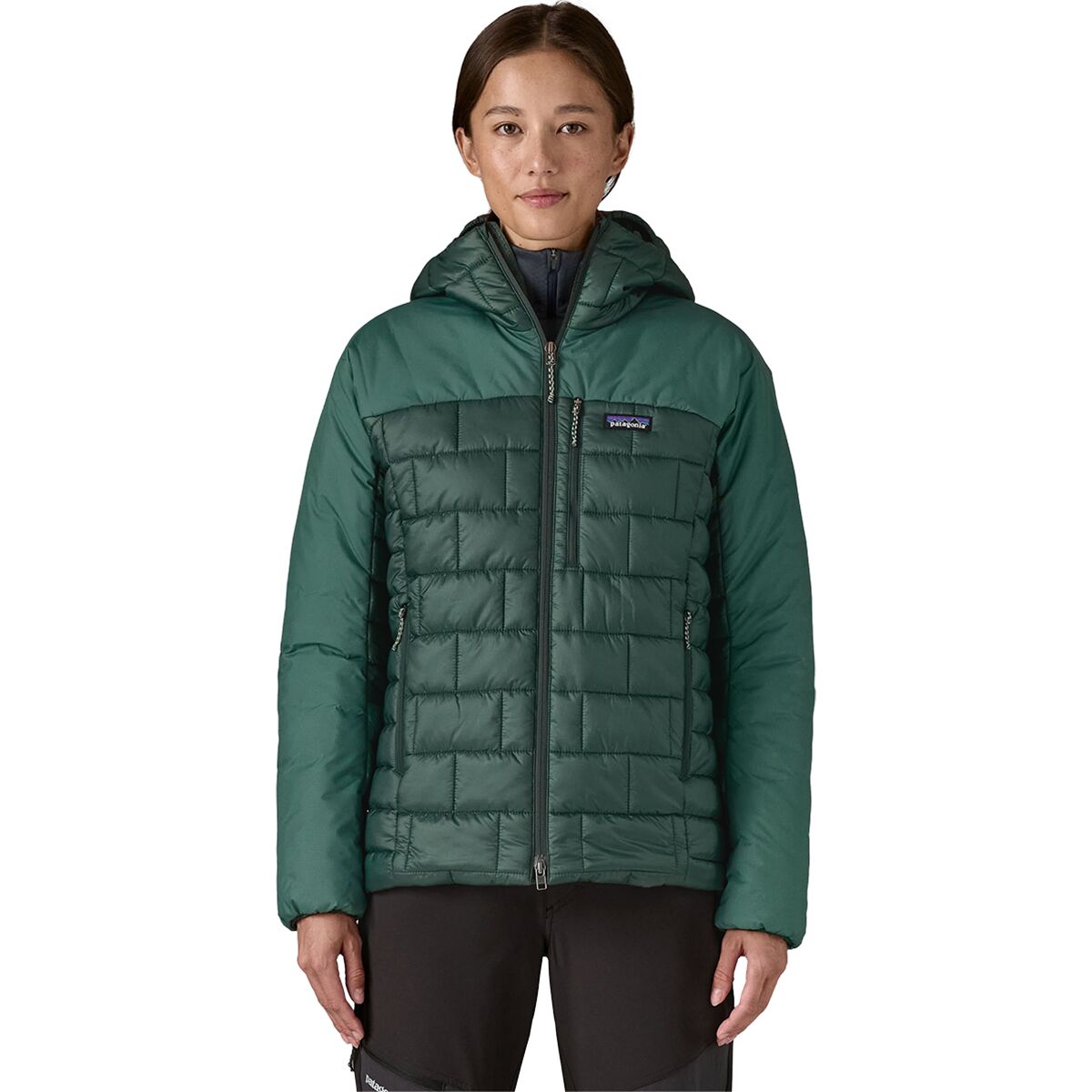 Image of Patagonia Hi-Loft Nano Puff Hoodie - Women's Cascade Green, XS