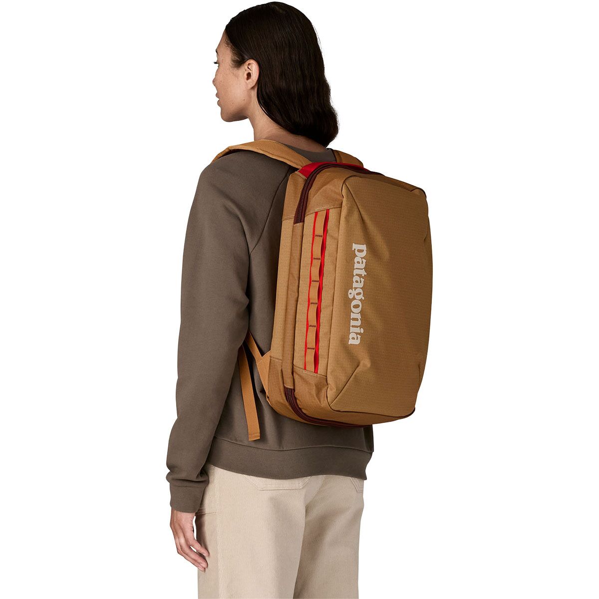 Patagonia Black Hole Micro MLC 22L Pack - Travel