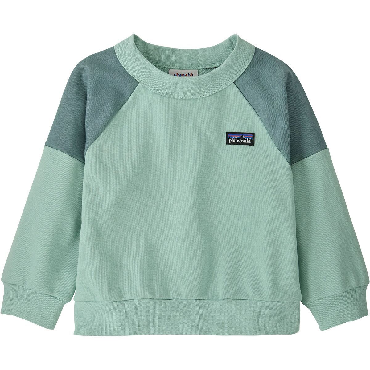 Image of Patagonia Crew Sweatshirt - Toddlers' Thin Ice, 4T