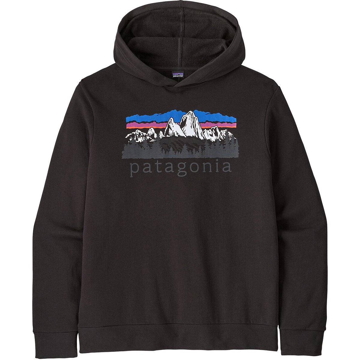 Image of Patagonia Fitz Roy Foothills Daily Hoodie - Men's Black, M