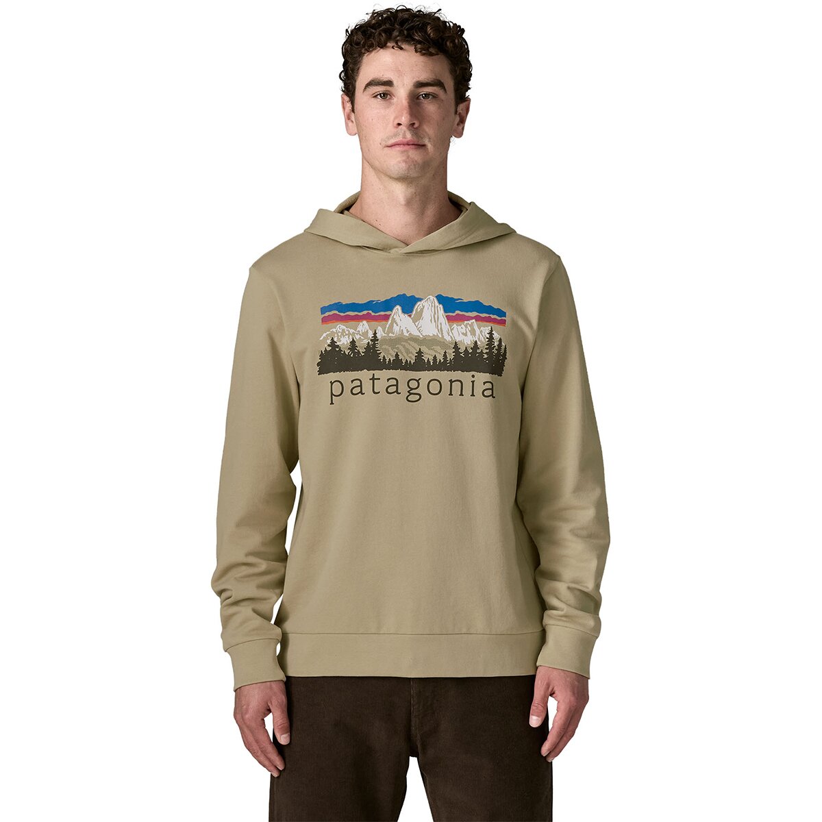 Image of Patagonia Fitz Roy Foothills Daily Hoodie - Men's Weathered Stone, L