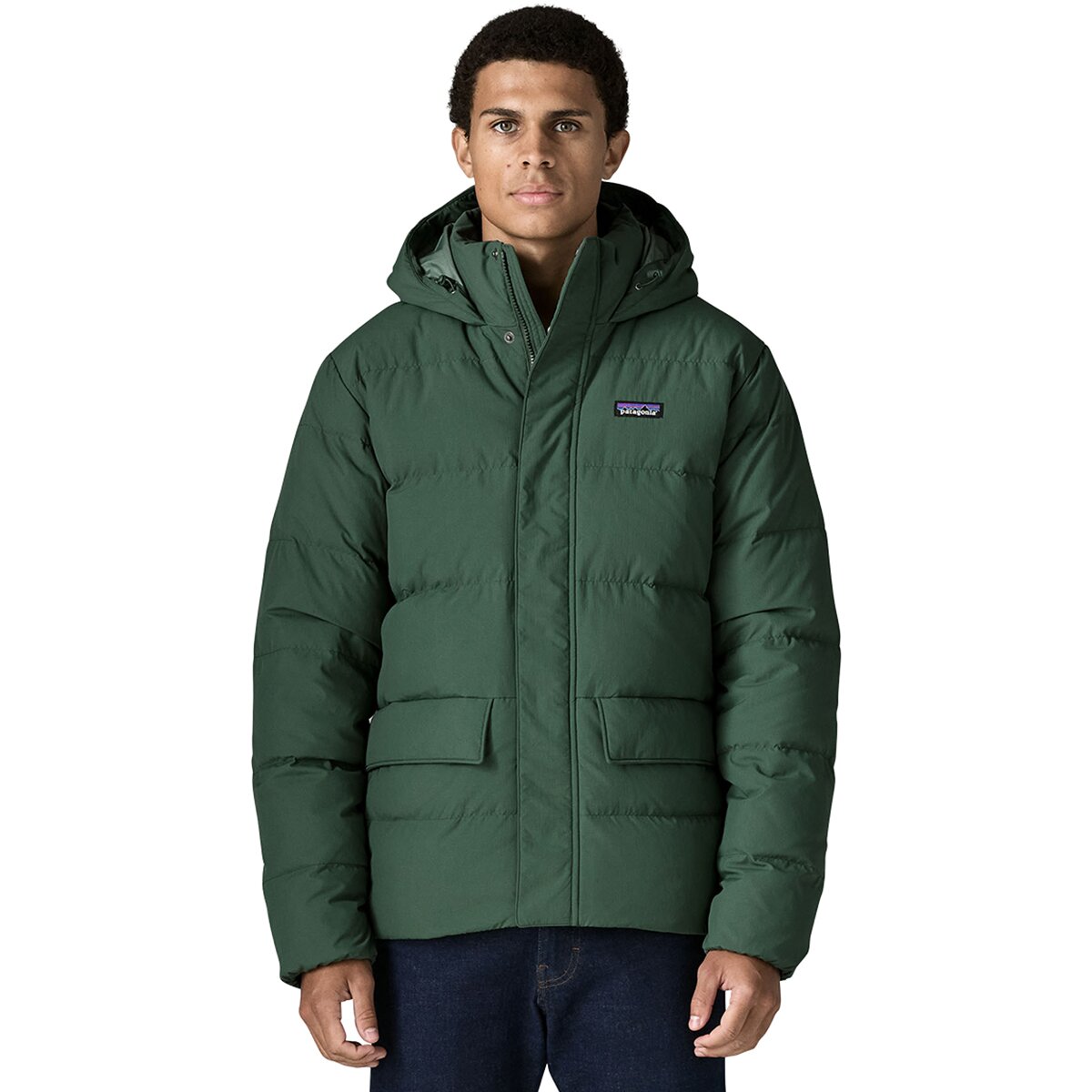 Image of Patagonia Sisar Down Hooded Jacket - Men's Canopy Green, L
