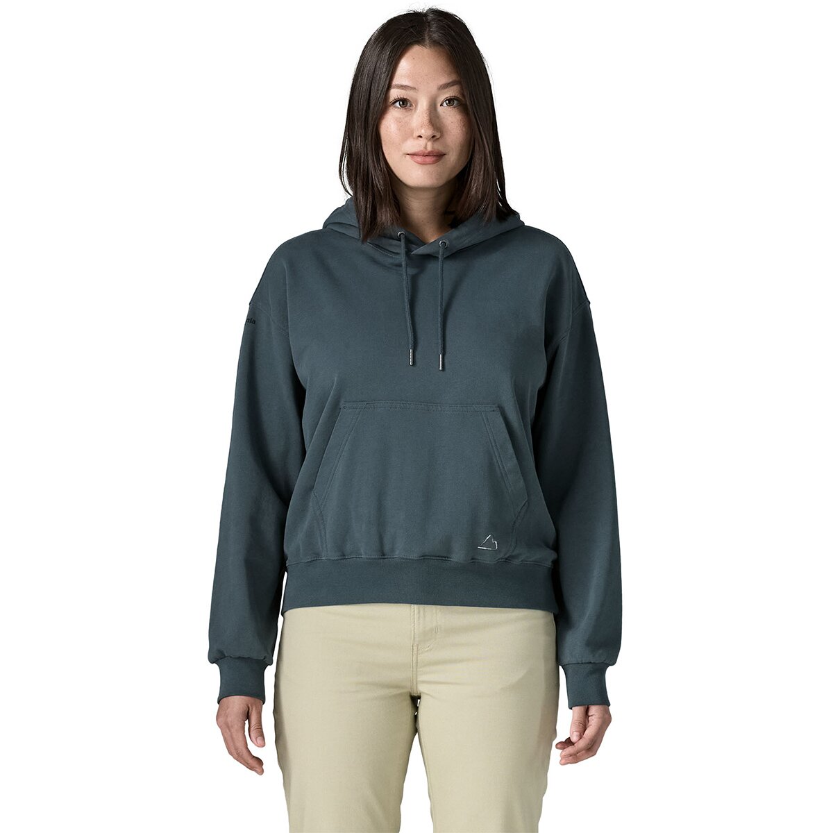Image of Patagonia Fitz Roy Massif Daily Hoodie - Women's Summit Blue, M