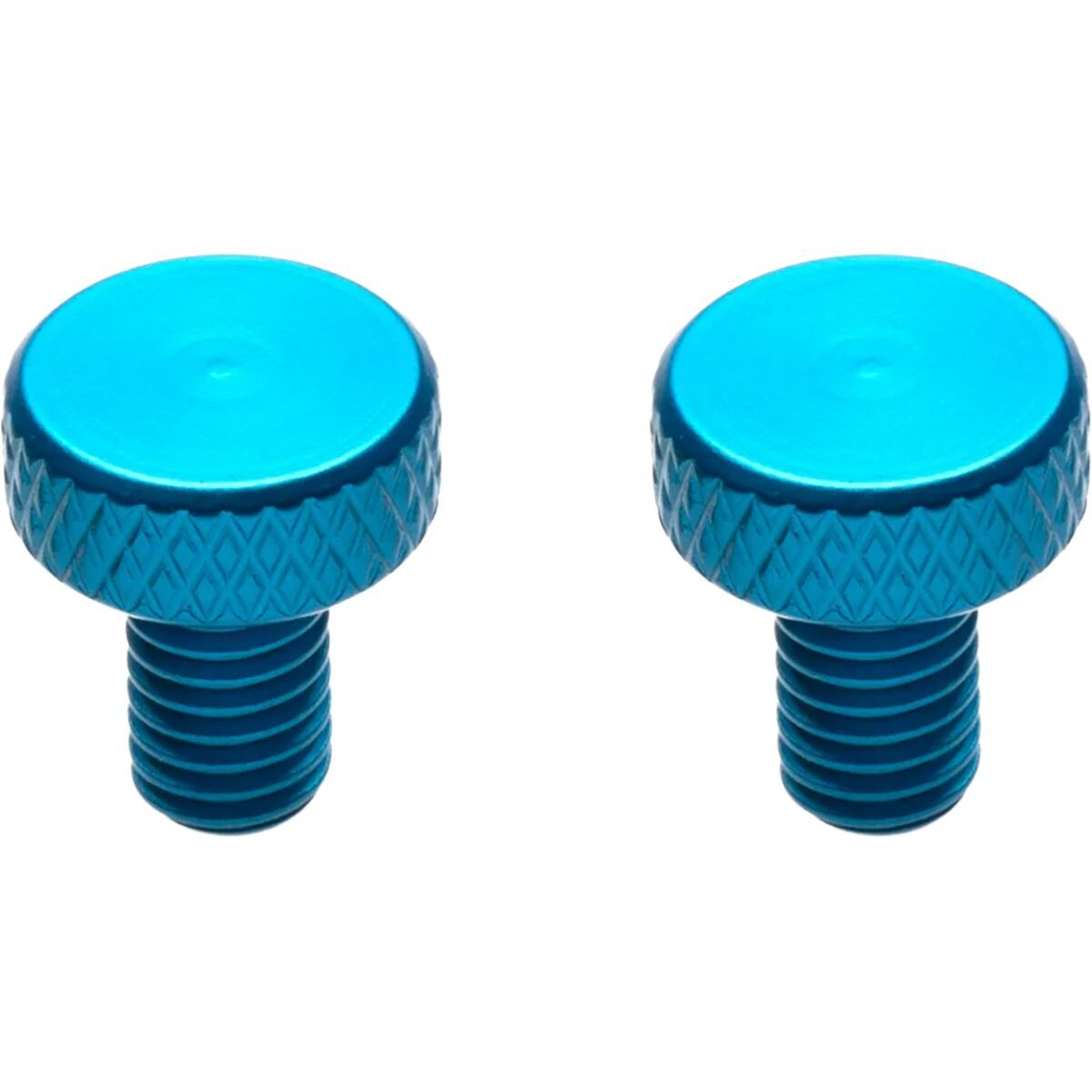 Image of Portland Design Works Zit Bitz Decorative Bolts Aqua, Set of 4