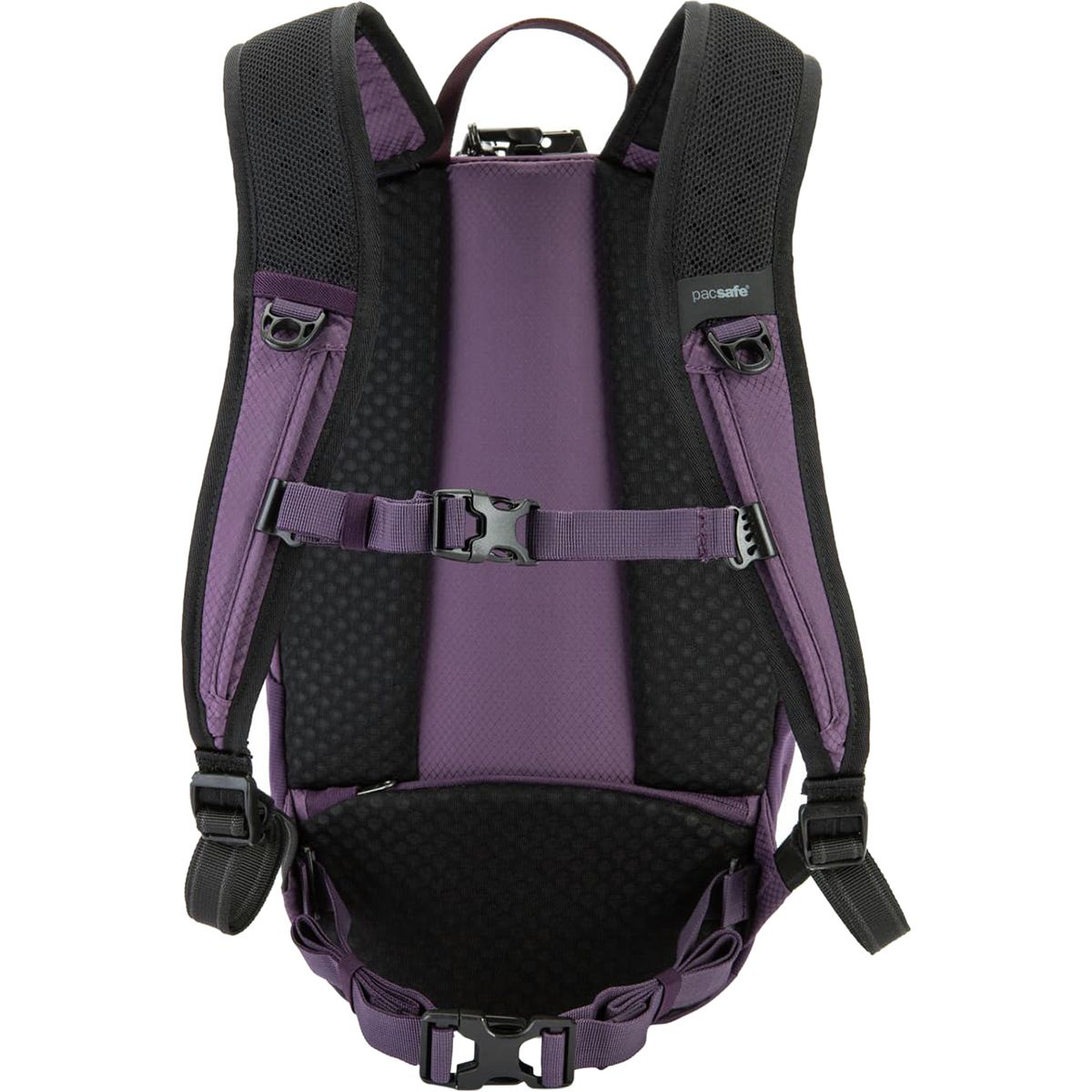 Pacsafe venturesafe deals x12 backpack
