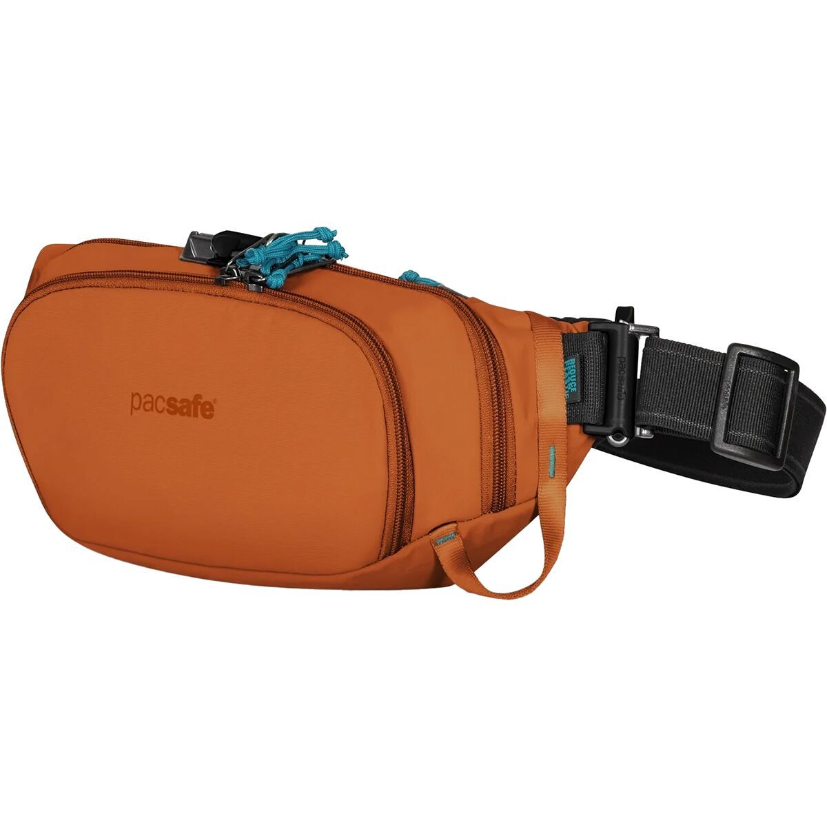 Aggregate more than 161 anti theft bum bag best 3tdesign.edu.vn