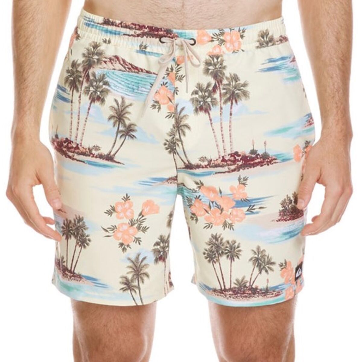Quiksilver Everyday Mix Volley 17 NB Short - Men's Silver Birch, S