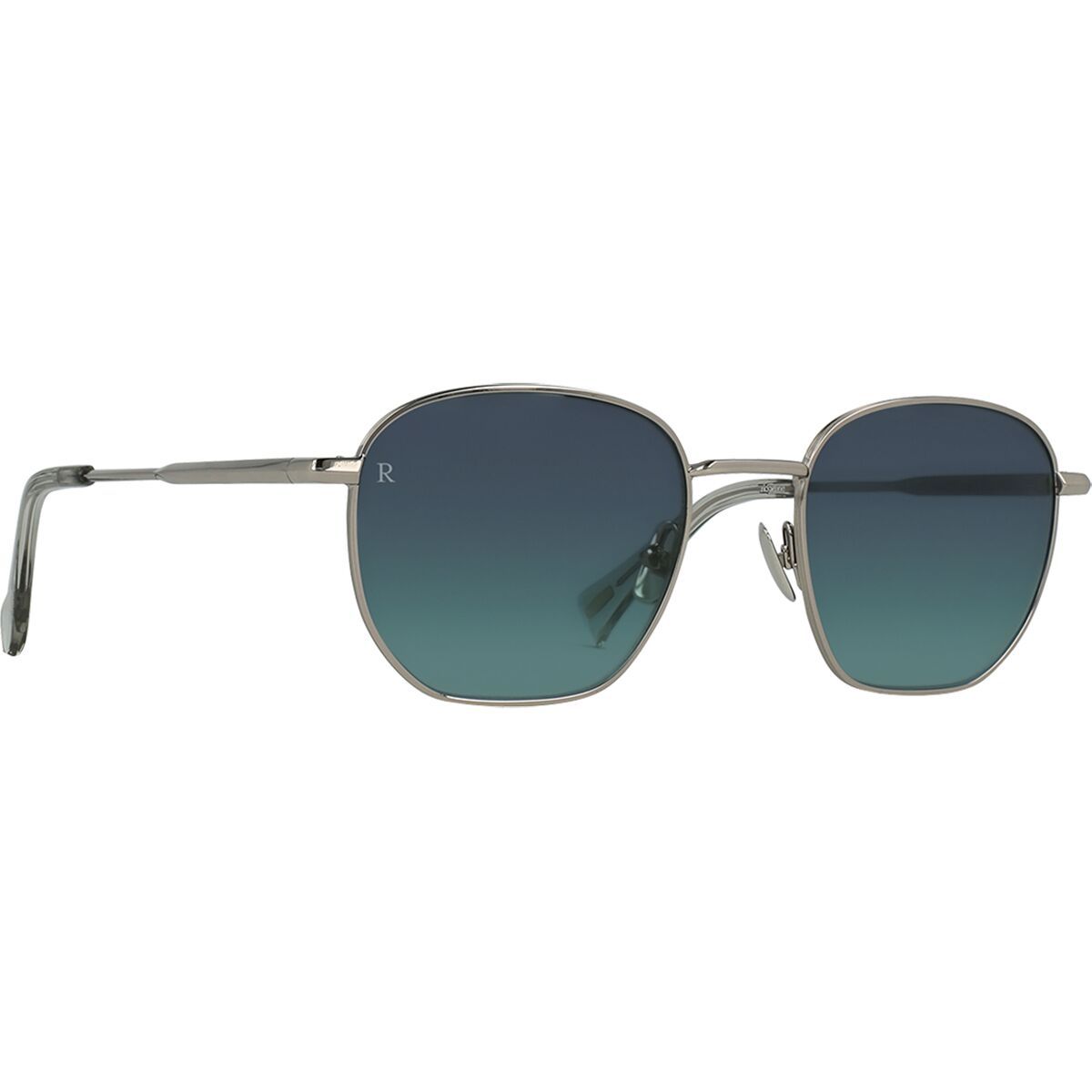 Backcountry RAEN optics Alameda Sunglasses