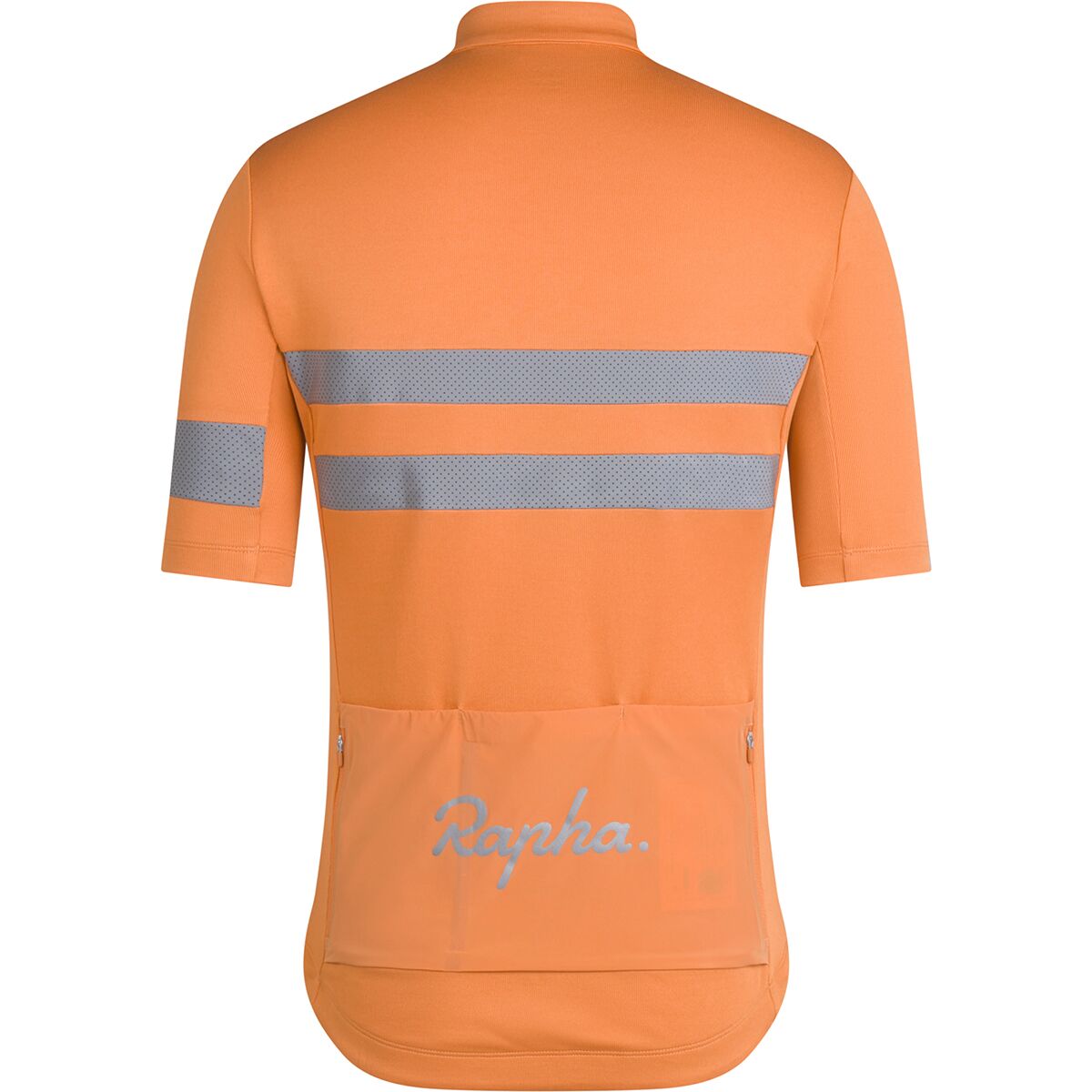 Men's brevet jersey online