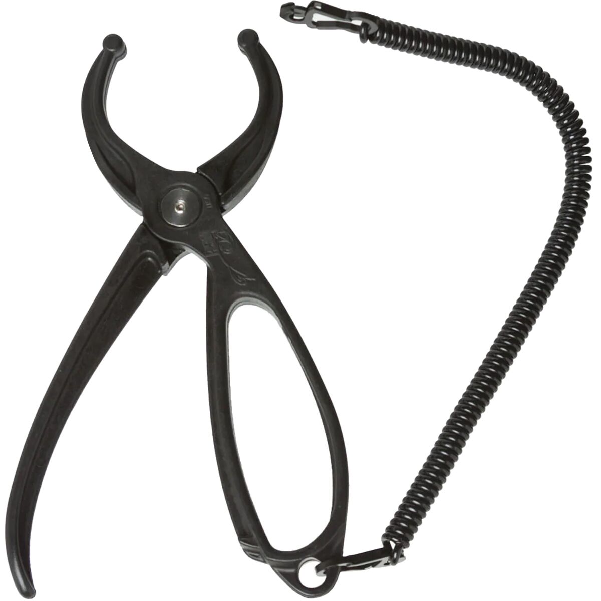 Rising Lippa4Life - Composite product image