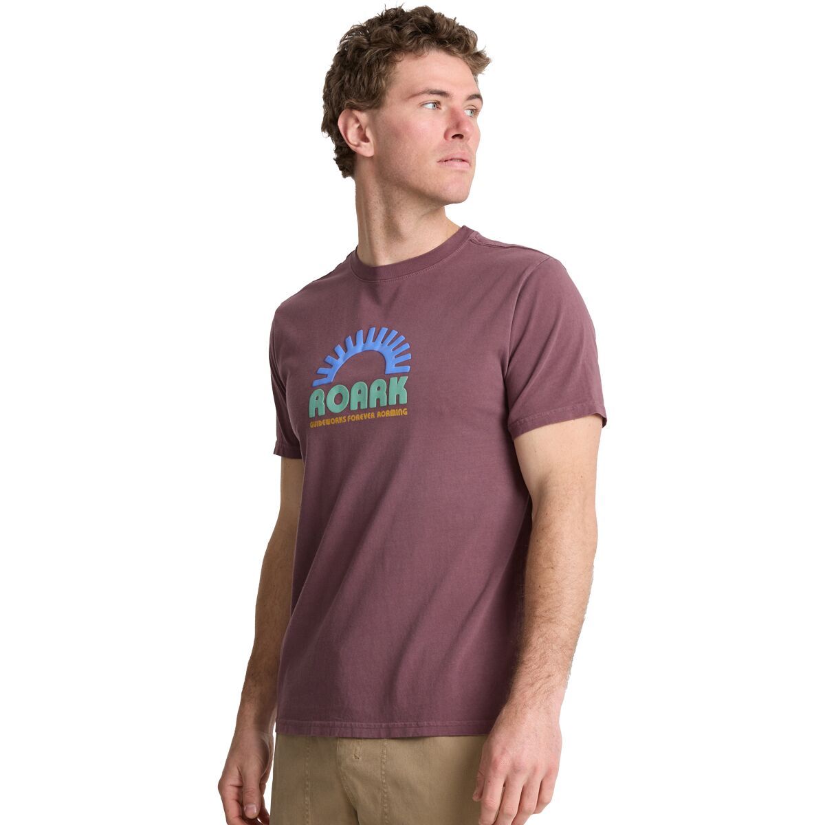 Image of Roark Sundial T-Shirt - Men's Purple Ash, XL