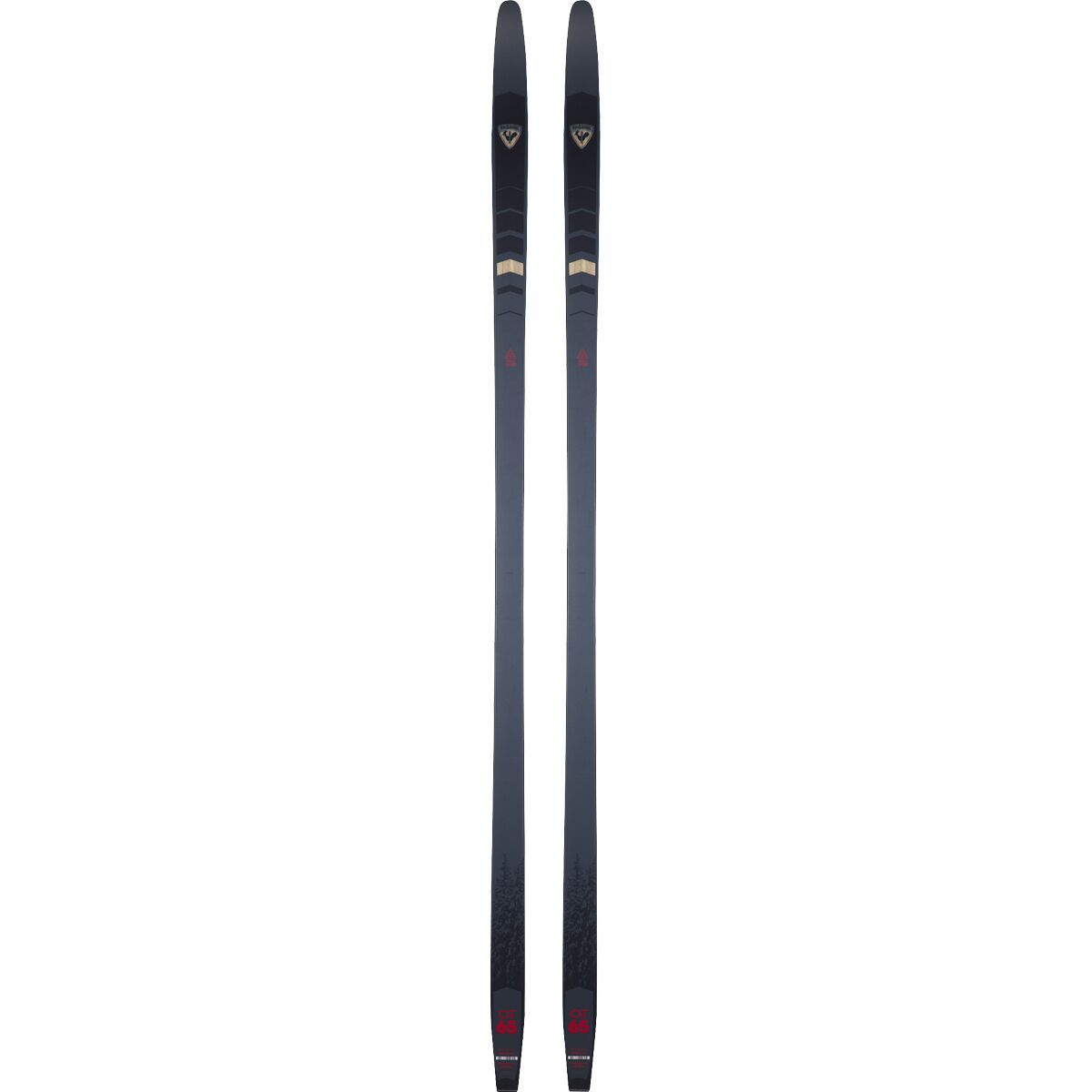 Image of Rossignol Evo OT 65 Positrack Ski - 2026 One Color, 185cm