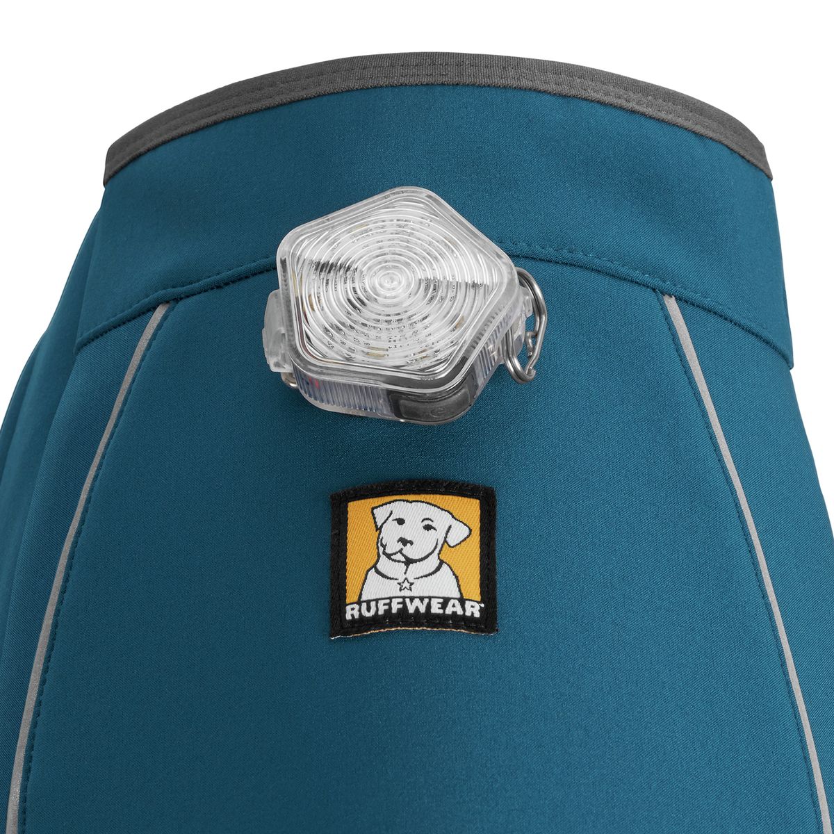 cloud chaser dog jacket