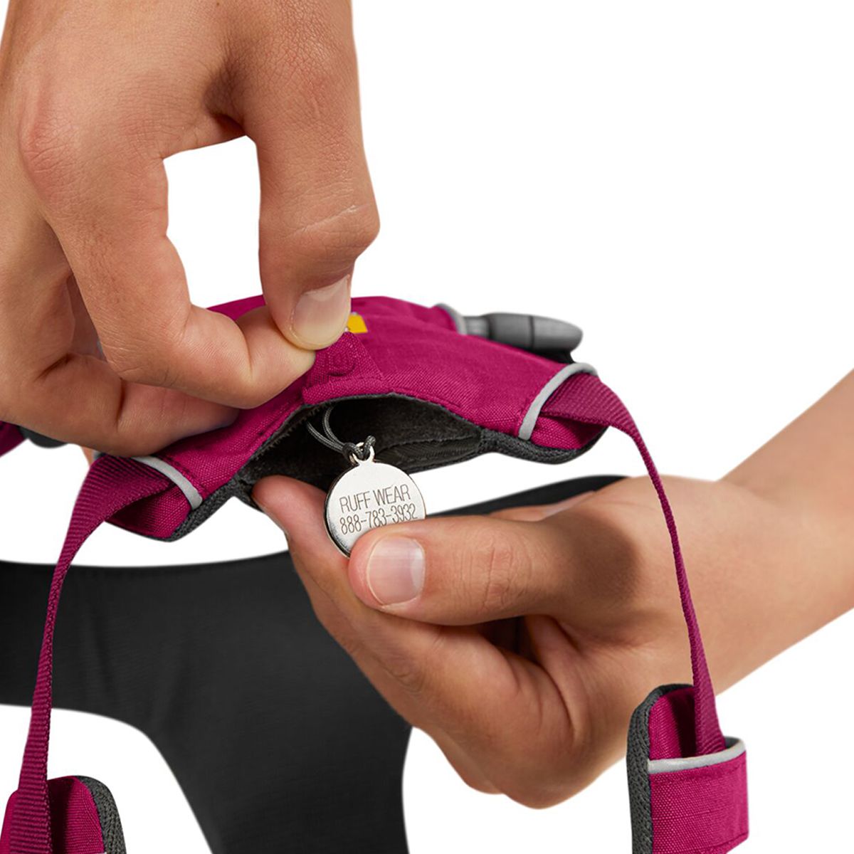 Ruffwear Front Range Harness eBay