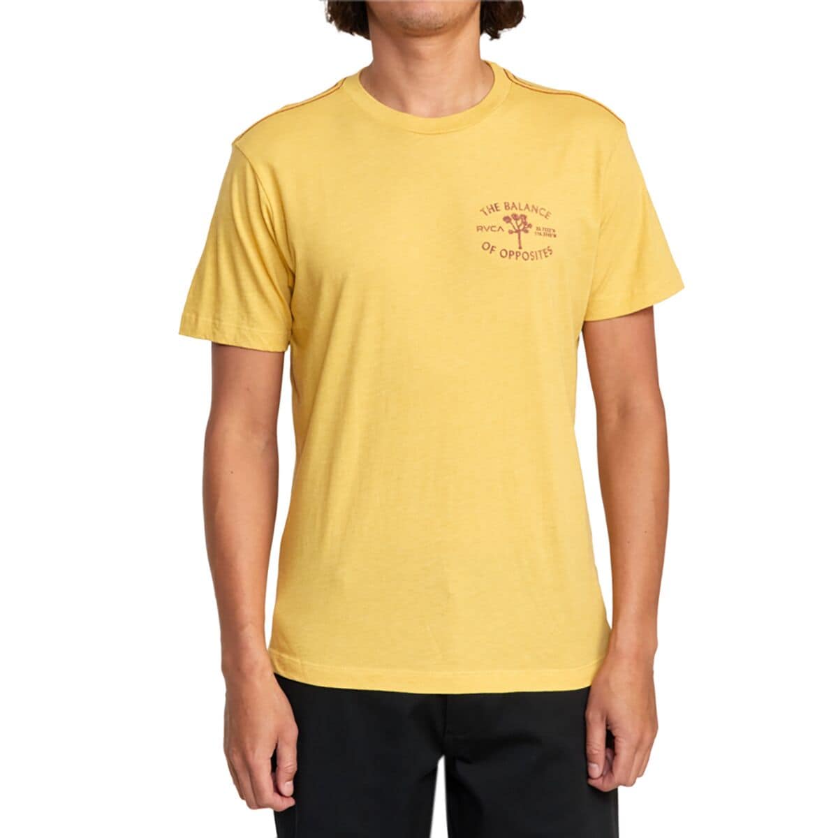 RVCA Desert Expo Short-Sleeve T-Shirt - Men's