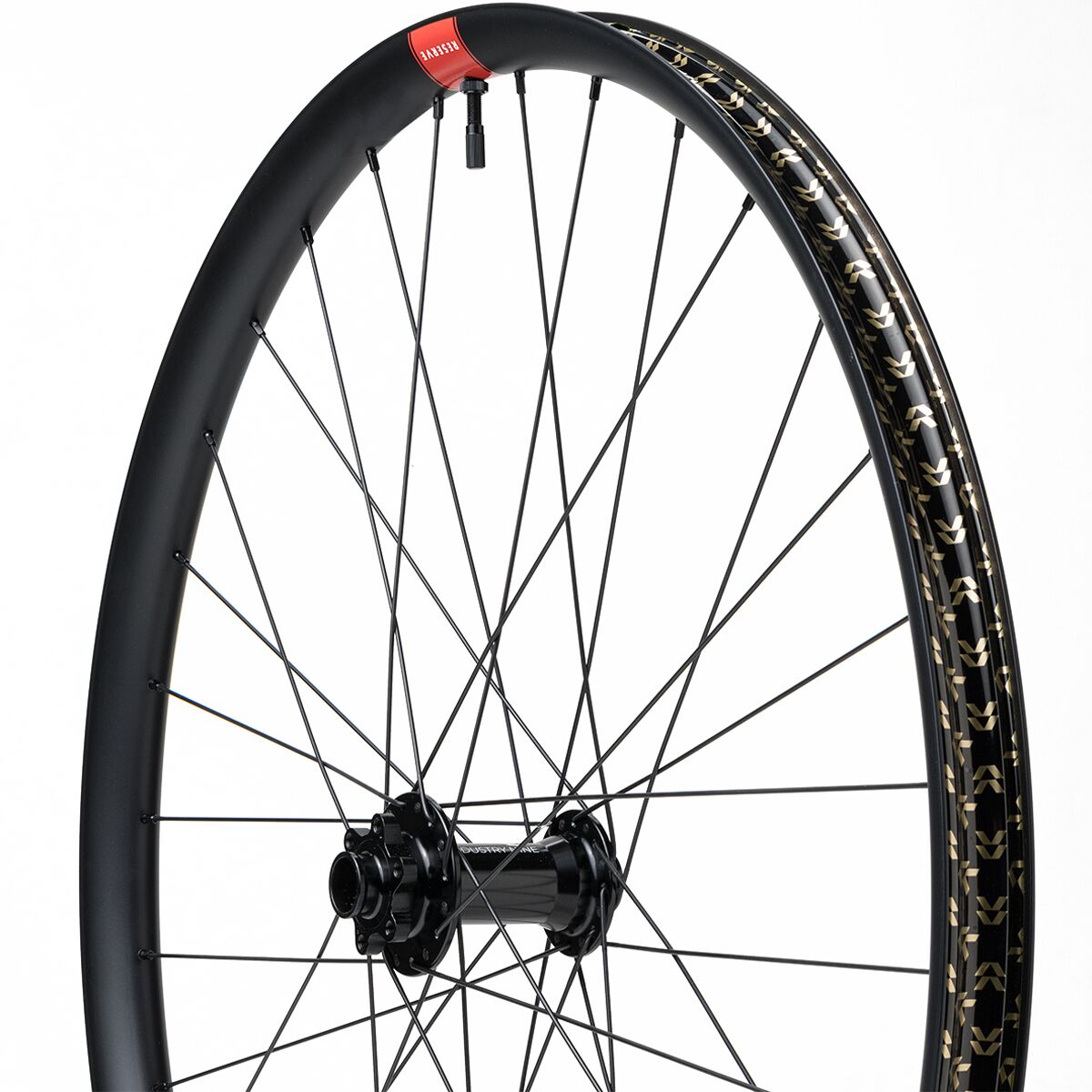 Reserve 30 HD Alloy 29in i9 1/1 DH Wheelset