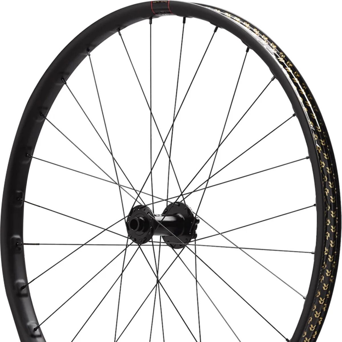 Image of Reserve 30 HD DH Alloy 29in DT 350 Boost Wheelset Black, 20x110/12x157, 6 Bolt, XD