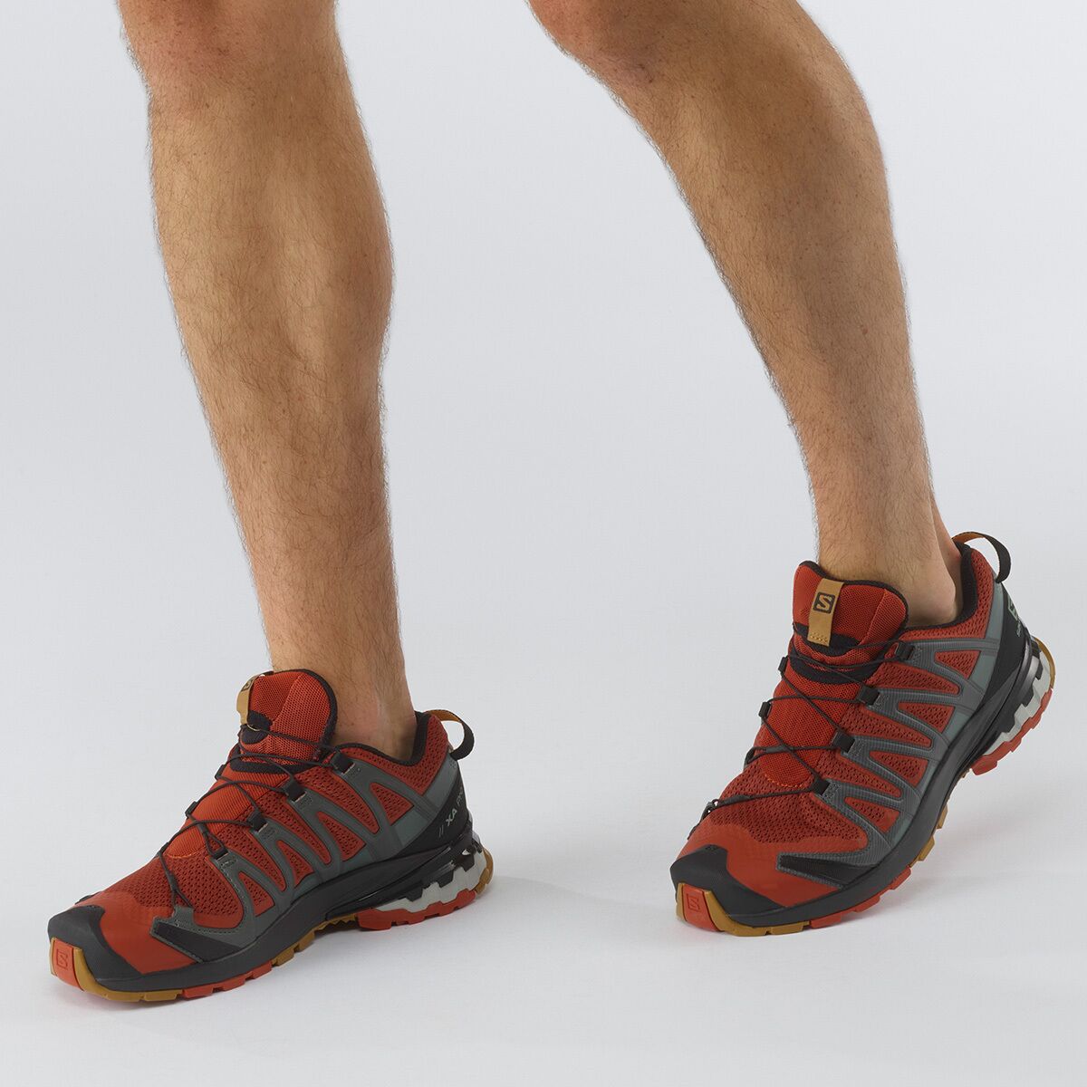 salomon 3d v8