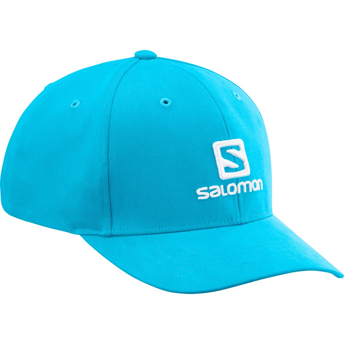Salomon online logo cap