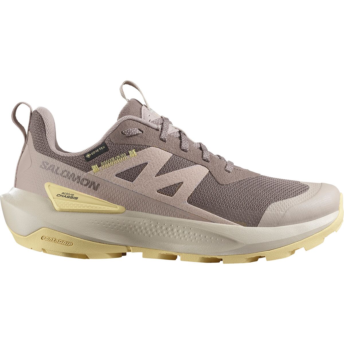 Image of Salomon Elixir Activ GTX Shoe - Women's Iron/Etherea/Tuc Sunlight, US 7.5/UK 6.0