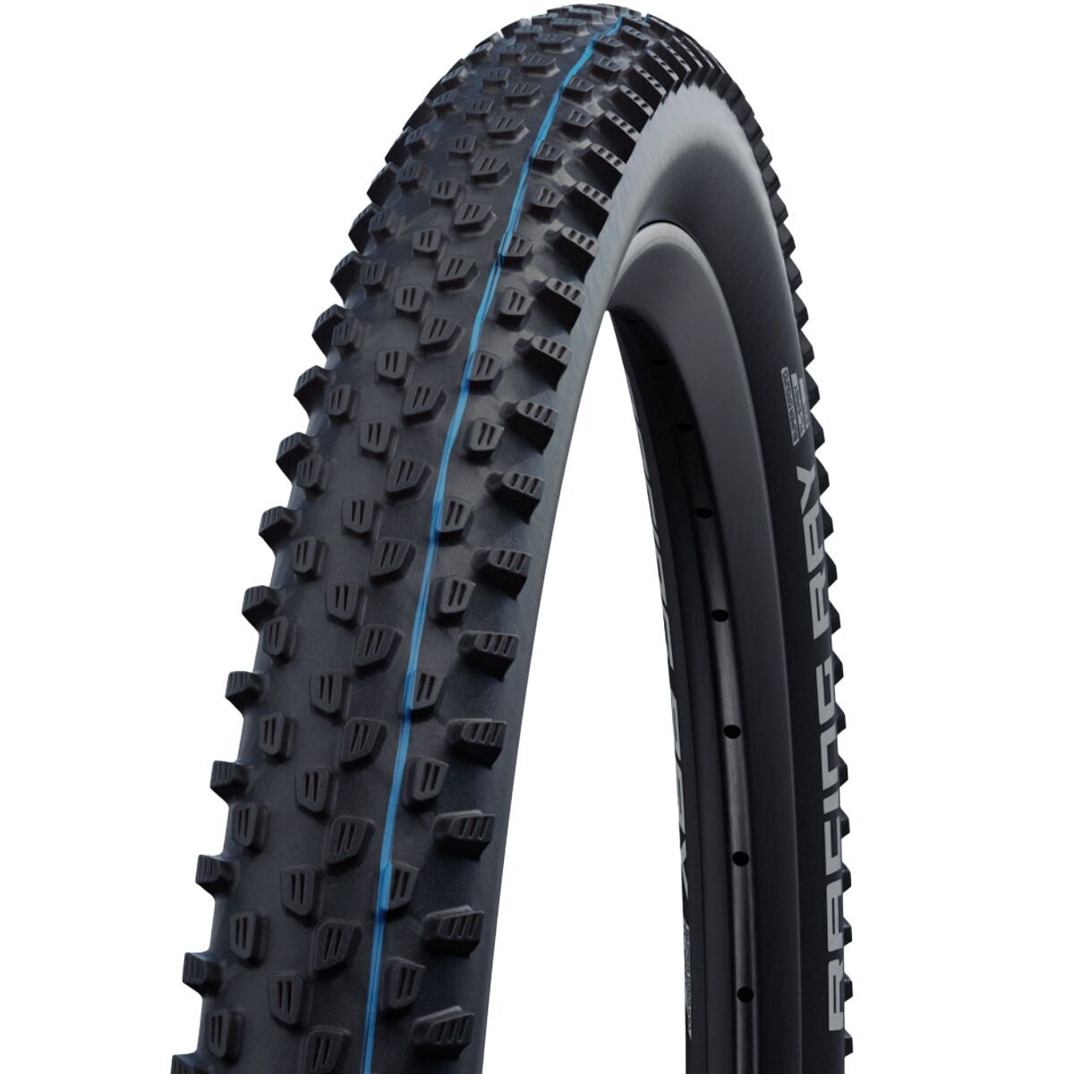 Image of Schwalbe Racing Ray Evolution Tubeless Tire - 29in Black, Super Ground Addix SpeedGrip, 29x2.25in
