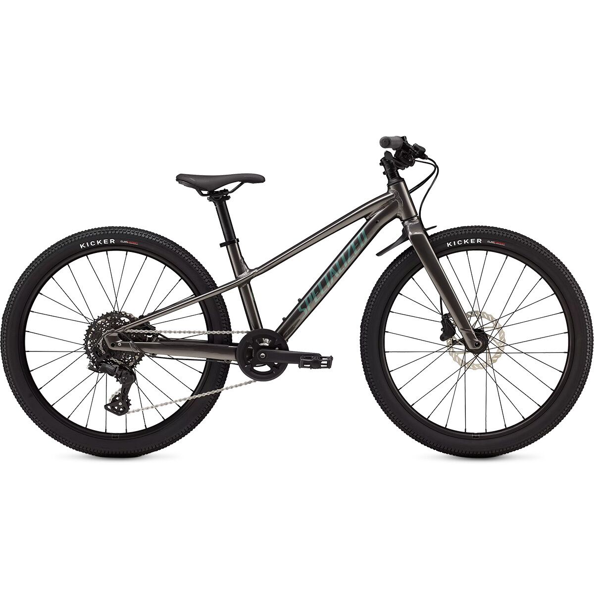 Image of Specialized Riprock 24in - Kids' Gloss Smoke/Fjord Metallic, One Size