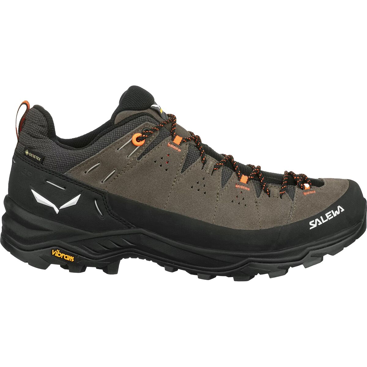 Alp Trainer 2 GTX Hiking Shoe - Men