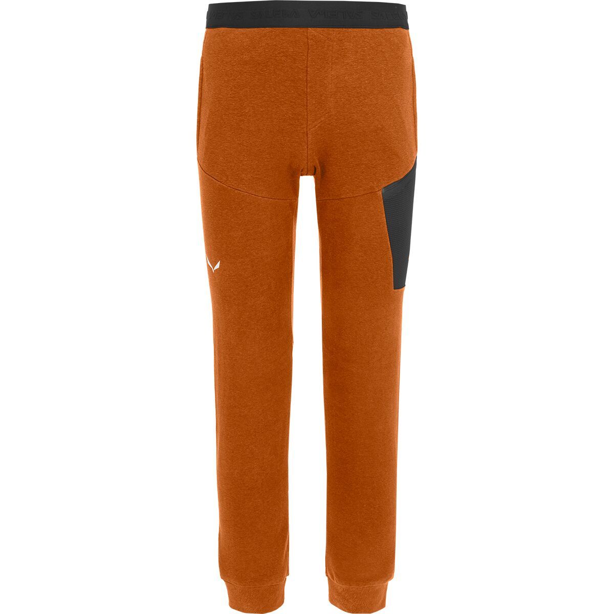 Salewa Lavaredo Hemp Training Pant - Men's Autumnal/0910, XS