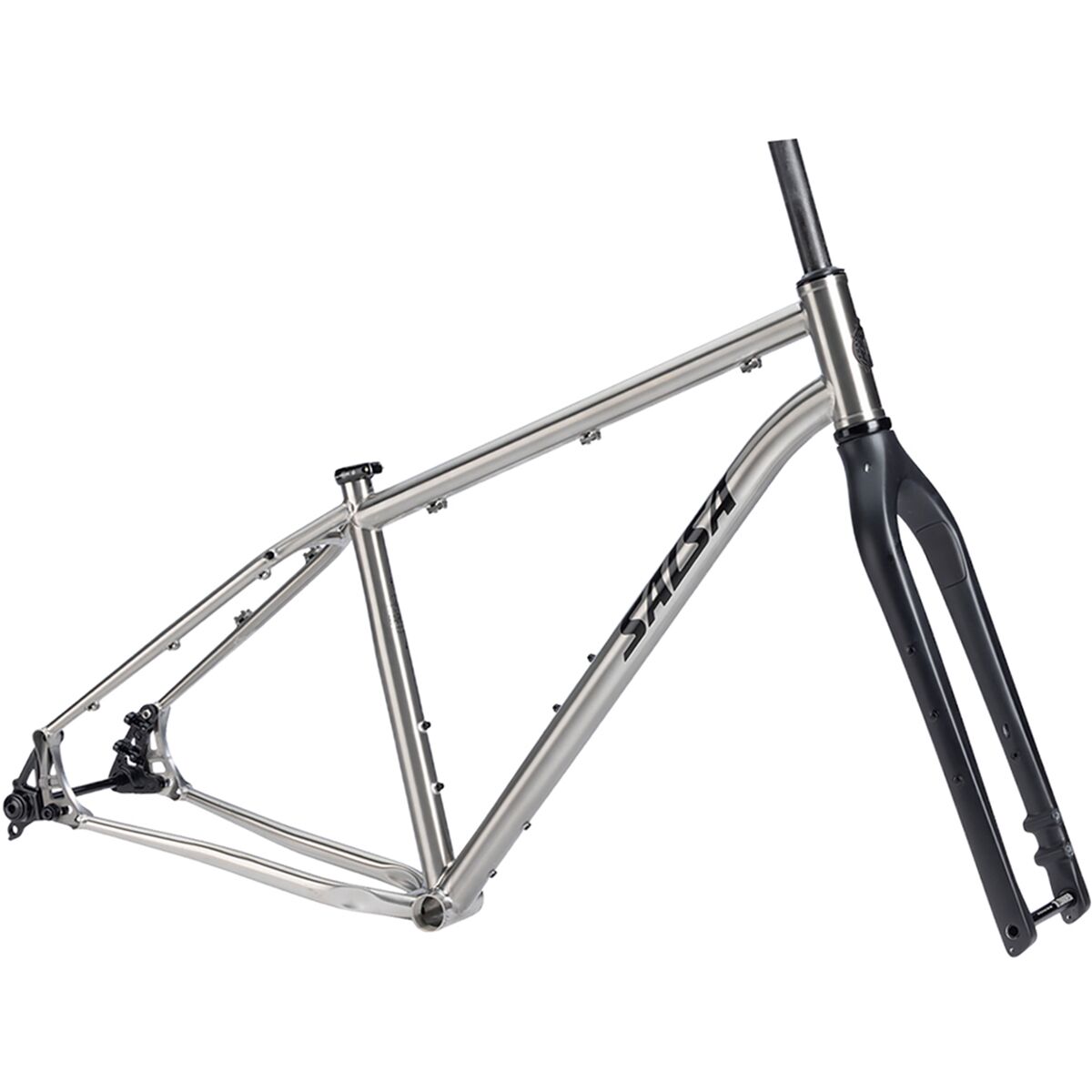 Image of Salsa Fargo Ti Gravel Frameset Brushed Titanium, M