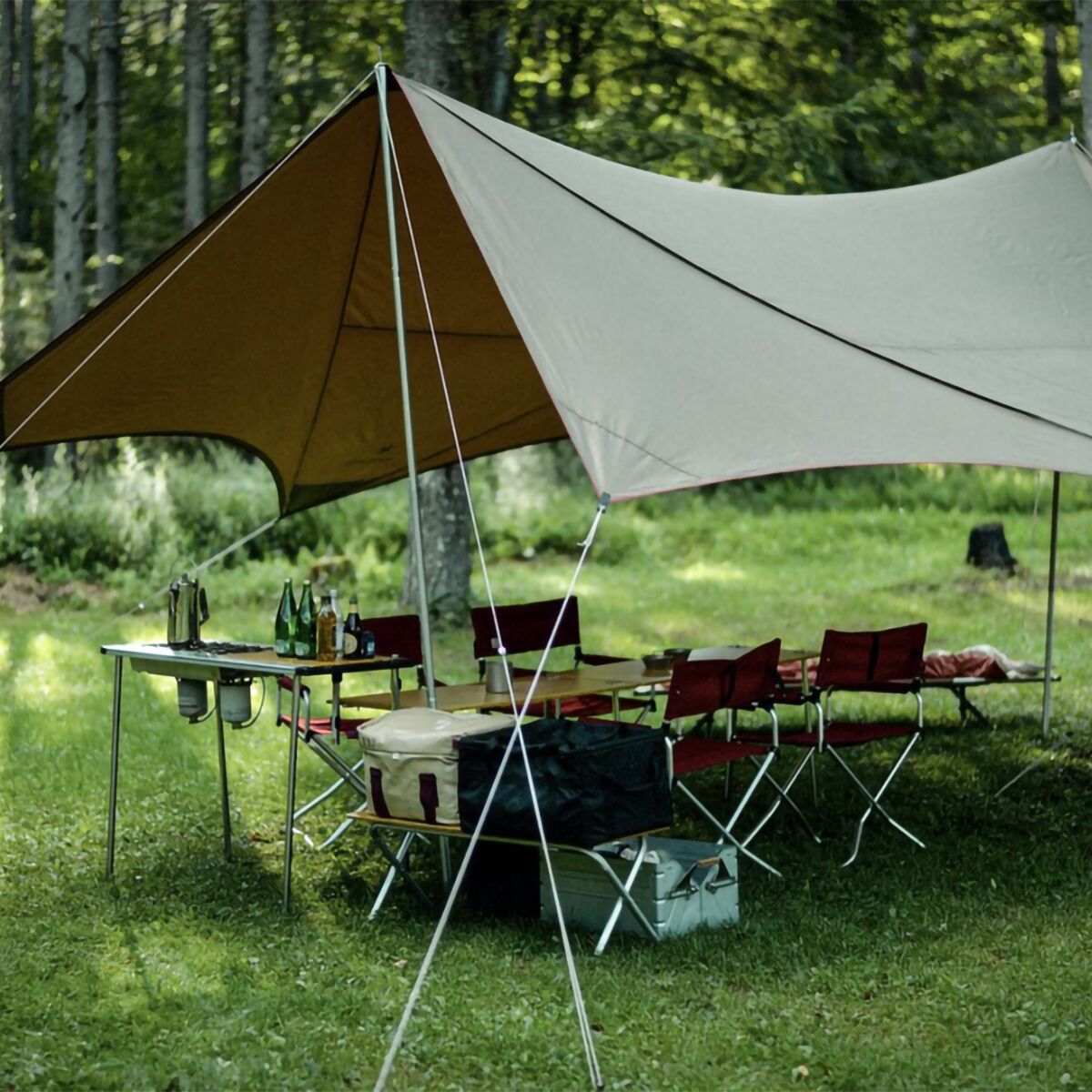 スノーピーク HD Tarp Shield Hexa M proset Hexa Tarp M | Snow Peak