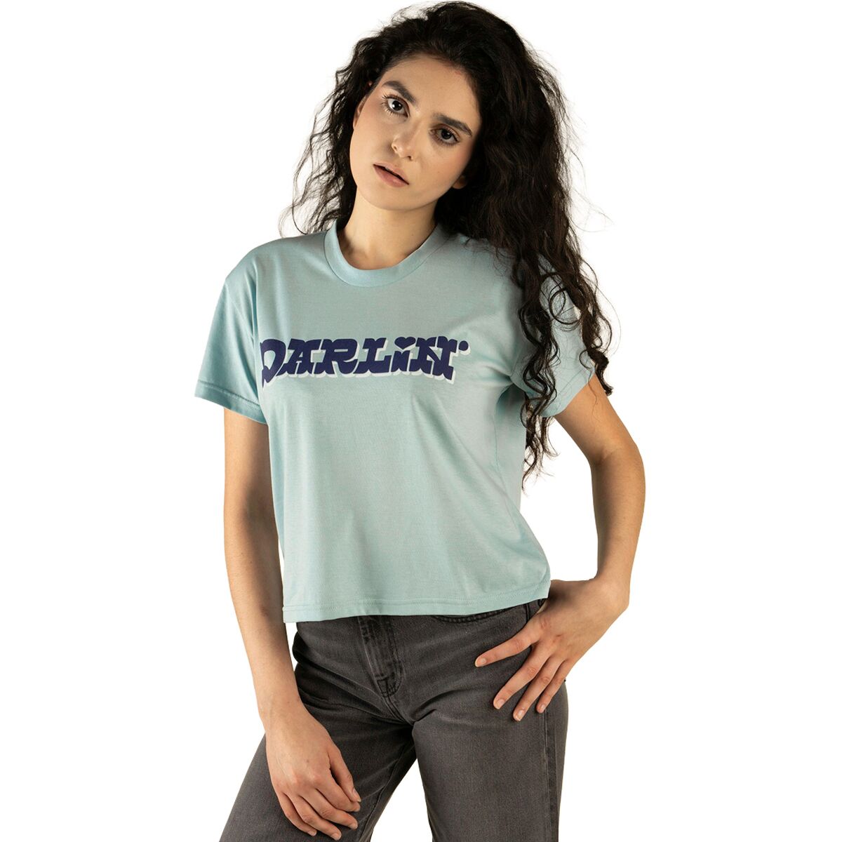 Image of Sendero Provisions Co. Darlin Crop T-Shirt - Women's Sterling Blue, M